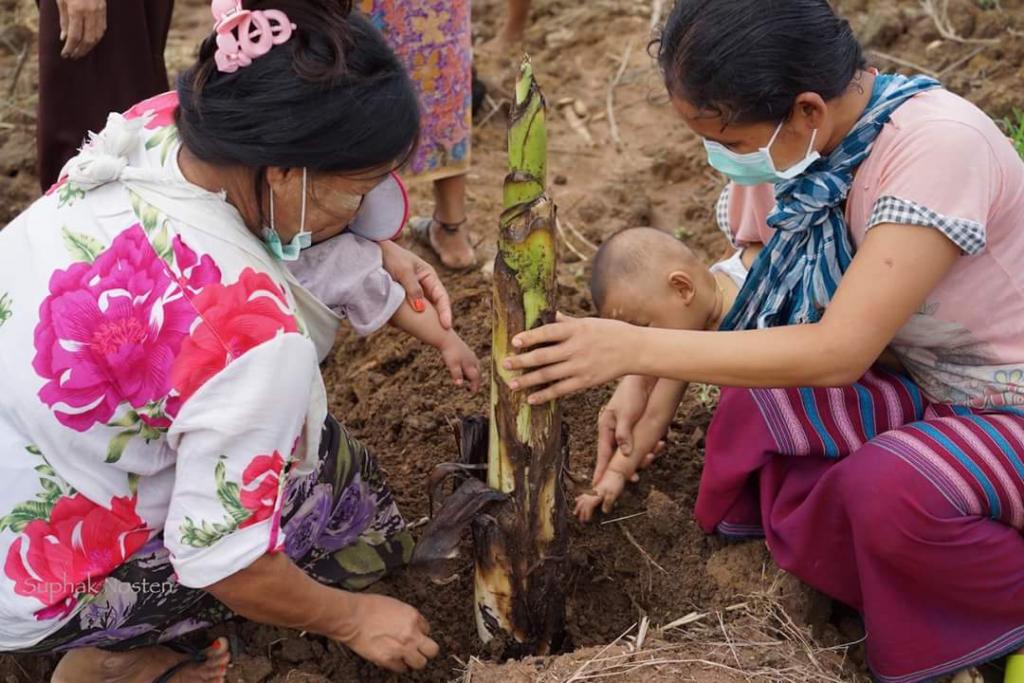 Planting bananas is a friendly occupational activity for children and mothers in TB center