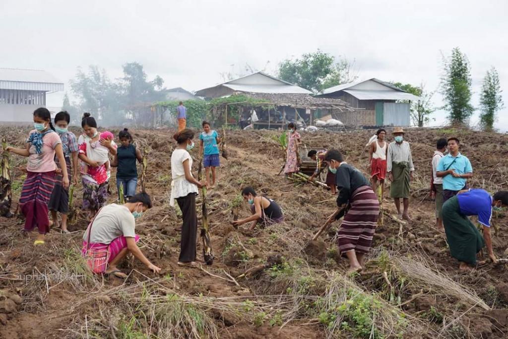 Planting banana trees is healthy occupational activity for TB patients in TB center